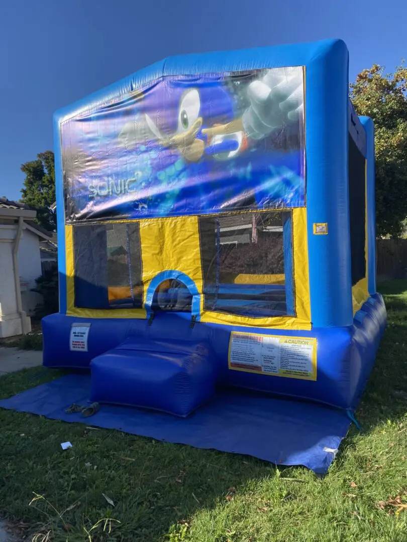 A blue and yellow inflatable with a picture of the ocean.